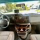 Extended Coachmen Leprechaun